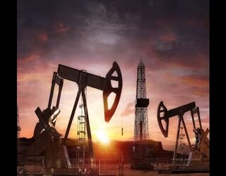 Oil