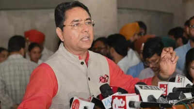 File photo: Punjab minister Aman Arora Gangster's extradition from Moldova shows Mann government's resolve: Punjab minister