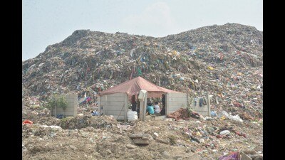 The crisis is most acute in Amritsar, Ludhiana, Jalandhar, Mohali, and Sangrur. (HT) The crisis is most acute in Amritsar, Ludhiana, Jalandhar, Mohali, and Sangrur. (HT)
