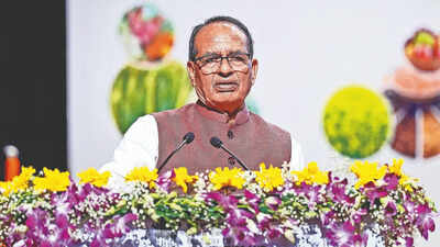 'The truth is INDI alliance is not ready to accept Rahul as its leader,' Chouhan said, adding that Congress has tried to launch his career dozens of times but in vain. It's 'save dynasty' march, taunts BJP, says bloc crumbling
