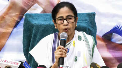Former West Bengal Chief Minister Mamata Banerjee addresses a press conference, in Kolkata on Friday Mamata Banerjee moves Supreme Court against EC decision to freeze TMC name, symbol