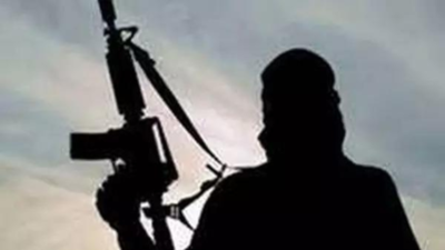 2 terrorists killed in J&K (Representative image) Operation Sohan: Two terrorists killed in joint operation by Army, CRPF, J&K police in Udhampur