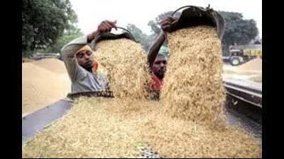 Over 80 stalls have been established at the fair by farmers. (HT) Over 80 stalls have been established at the fair by farmers. (HT)