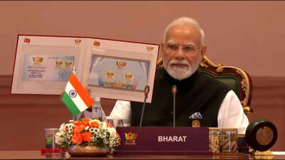 BRICS Turns 20: Modi Calls For New Global Rules As Putin Takes Aim At The G7 In New Delhi BRICS Turns 20: Modi Calls For New Global Rules As Putin Takes Aim At The G7 In New Delhi