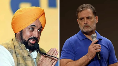 'Punjabis don't like politics over dead': CM Mann counters Rahul over Gulzar Singh's suicide