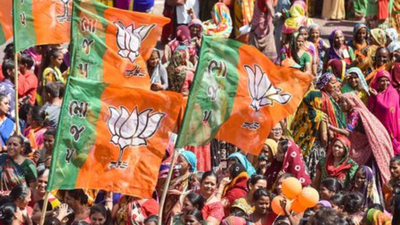 BJP candidate says his vote was in another ward 'Someone from that ward voted for me': BJP candidate gets 1 vote in Rajasthan local body polls