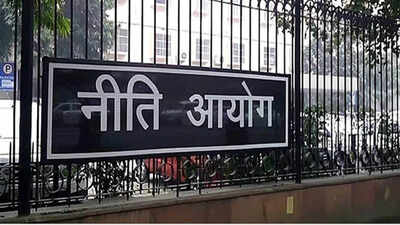 Niti Aayog States, municipalities to drive next phase of India deregulation: Niti Aayog member Gauba