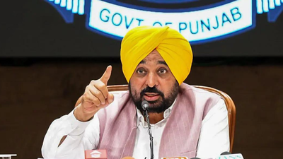 Bhagwant Mann said his government adopted a zero-tolerance policy towards gangsters You can run, but can't escape law: Mann warns gangsters