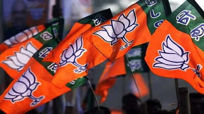BJP announces 8 candidates for Rajya Sabha polls in Uttar Pradesh