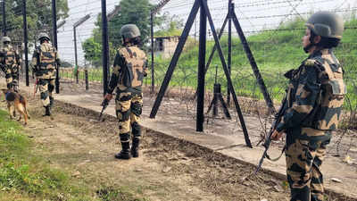 BSF neutralises 2 Pakistani intruders attempting to cross border in Punjab's Tarn Taran