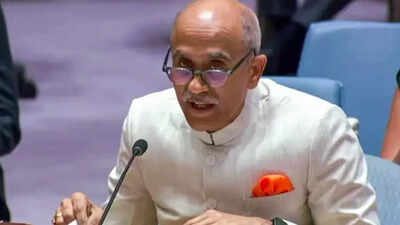 File photo: Ambassador Harish Parvathaneni Can’t restrict veto to P5 in a reformed UNSC: India