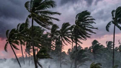 Cyclone Arnab has caused multiple deaths and widespread crop damage in Andhra Pradesh, triggered heavy rainfall in Odisha and Jharkhand Cyclone Arnab: Amit Shah speaks to four CMs, says relief operations on 'war footing'