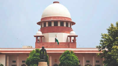 Government told the Supreme Court it is drafting a bill to prevent circulation of child pornography and offensive sexual videos online Government working on bill to curb child & revenge porn: Solicitor general in SC