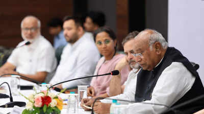 The proceedings are part of the INDIA bloc’s campaign against alleged ‘vote chori’ INDIA bloc postpones 'public impeachment' of CEC Gyanesh Kumar due to rains