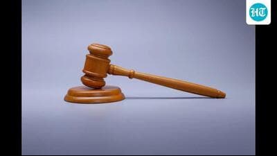 The court said that it expects the Haryana government to appoint a senior IPS officer to investigate such a large-scale fraud and submit a report by October 28, the next date of hearing. (HT Photo for representation) The court said that it expects the Haryana government to appoint a senior IPS officer to investigate such a large-scale fraud and submit a report by October 28, the next date of hearing. (HT Photo for representation)