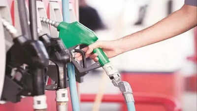 Switch to cleaner fuel Switch to cleaner fuel: Study calls for tech-neutral stance
