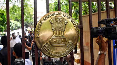 File photo Visa doesn't create absolute right to enter India, says Delhi High Court