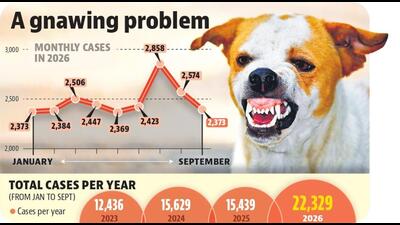 Mohali district recorded 12,436 cases between January and September 2023 and 15,629 during the same period in 2024, followed by 15,439 in 2025. The 2026 tally has surpassed the corresponding nine-month figures for all three preceding years. (HT File) Mohali district recorded 12,436 cases between January and September 2023 and 15,629 during the same period in 2024, followed by 15,439 in 2025. The 2026 tally has surpassed the corresponding nine-month figures for all three preceding years. (HT File)